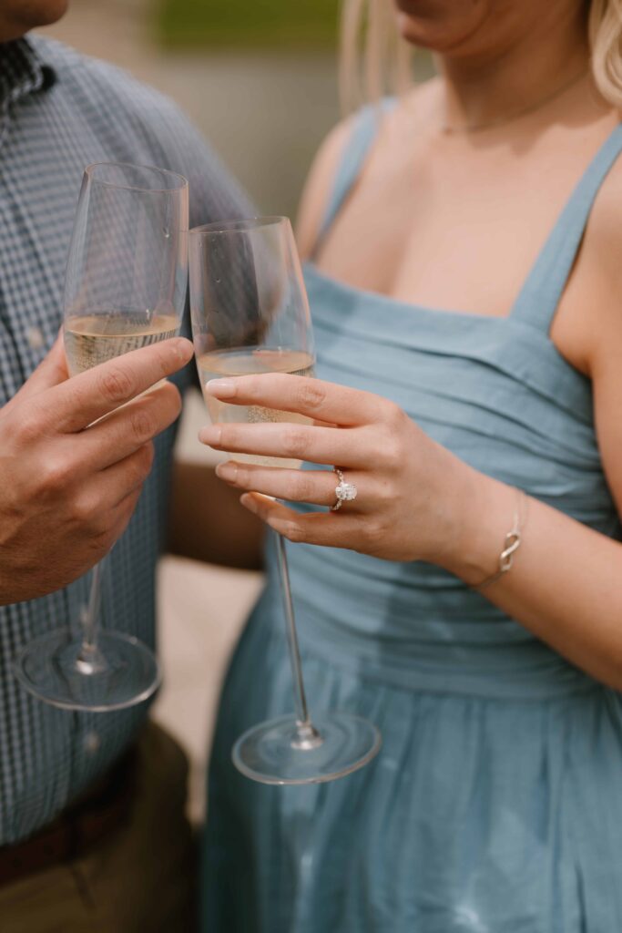 stl forest park engagement couples